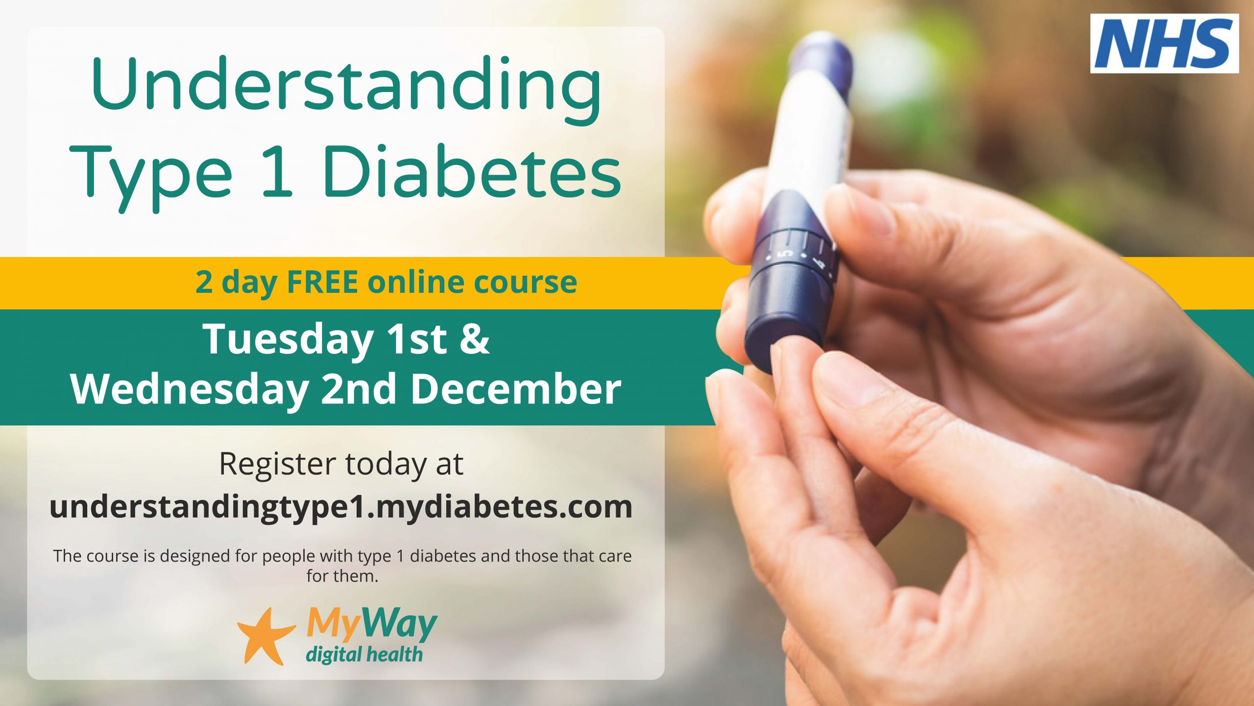 type 1 diabetes online course)